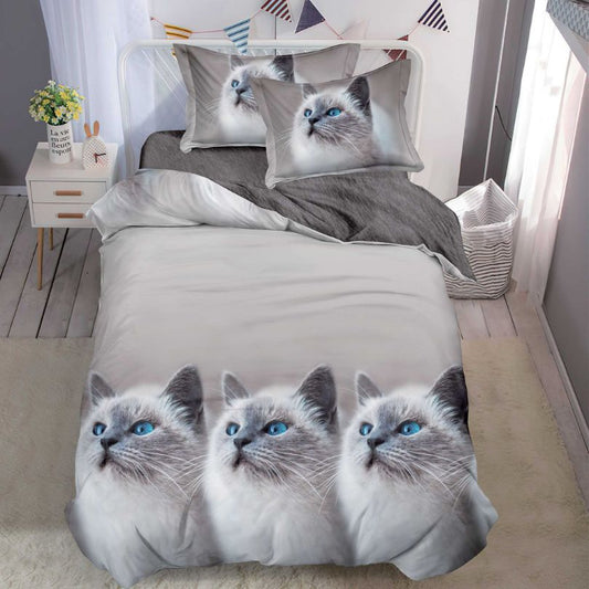 Lenjerie de Pat Finet 1 Persoana cu Elastic 4 Piese – Confort Premium si Design Modern | COD 1300-S