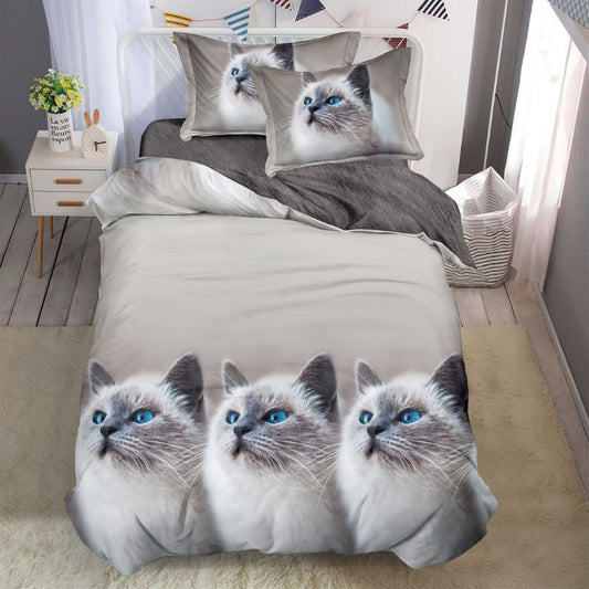 Lenjerie de Pat Bumbac Finet 1 Persoana – 4 Piese. Confort Premium si Design Modern | COD 1214-S