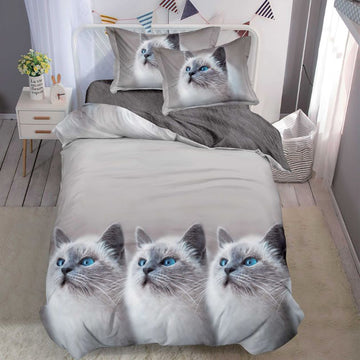 Lenjerie de Pat Finet 1 Persoana cu Elastic 4 Piese – Confort Premium si Design Modern | COD 1300-S